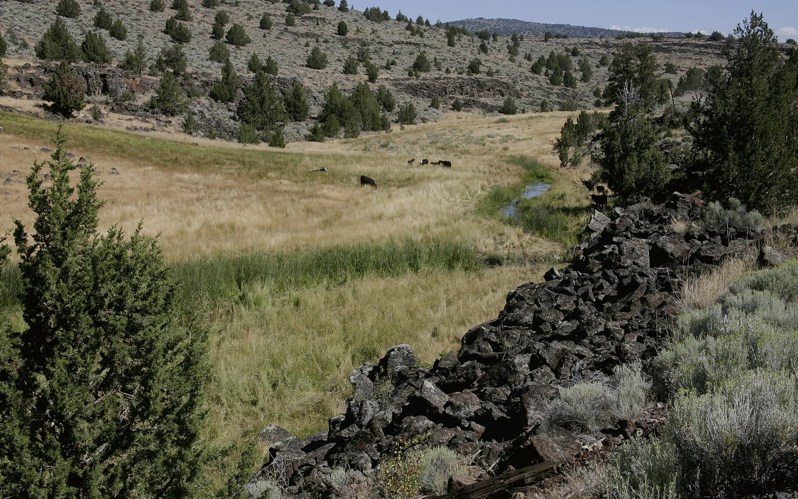 Summer 2026 Guide to Modoc National Wildlife Refuge Near Alturas